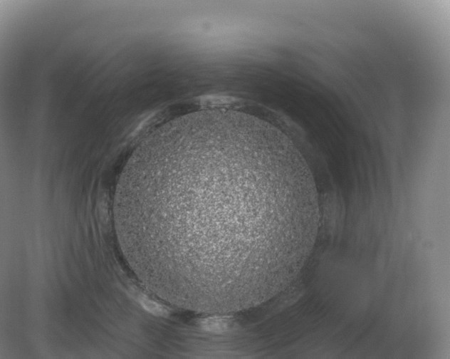 X0000081340761200701182020
