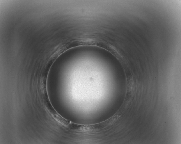 X0000081340764200701182020