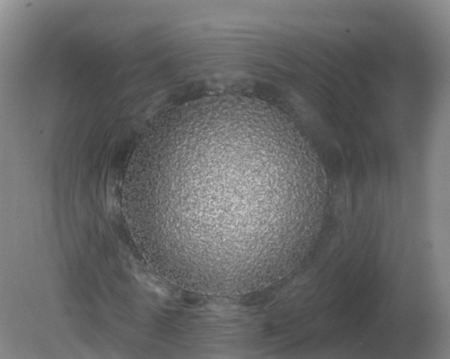 X0000081340770200701182020