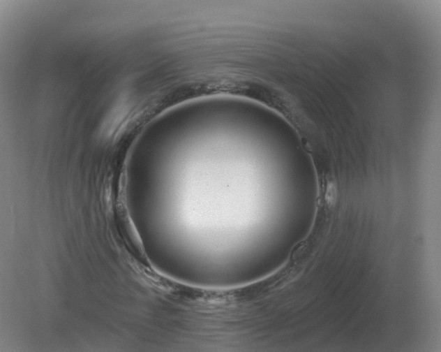 X0000081340771200701182020