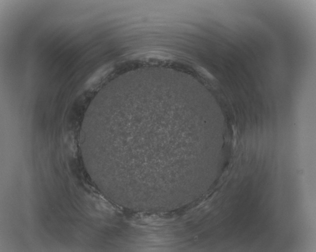 X0000081340774200701182019