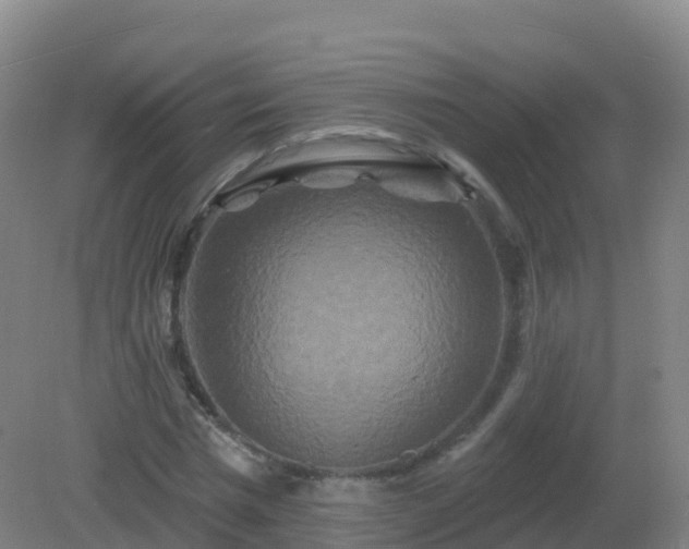 X0000081340777200701182019