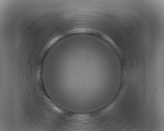 X0000081340778200701182019