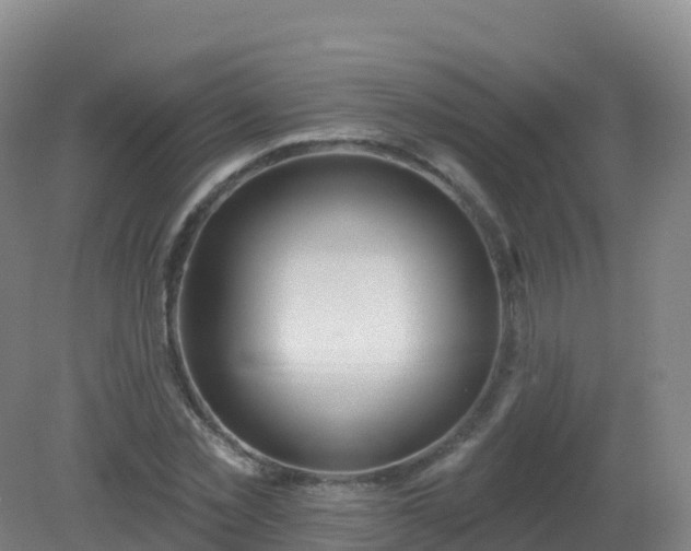 X0000081340781200701182019