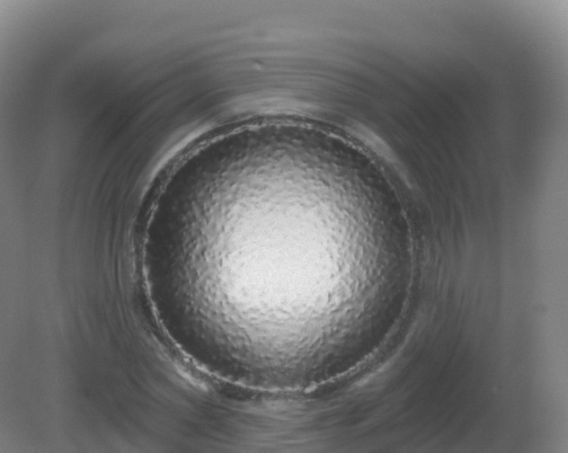 X0000081340782200701182019
