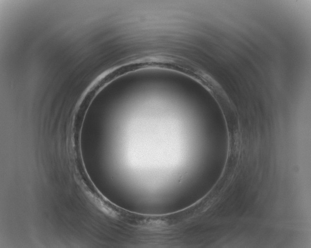 X0000081340784200701182019