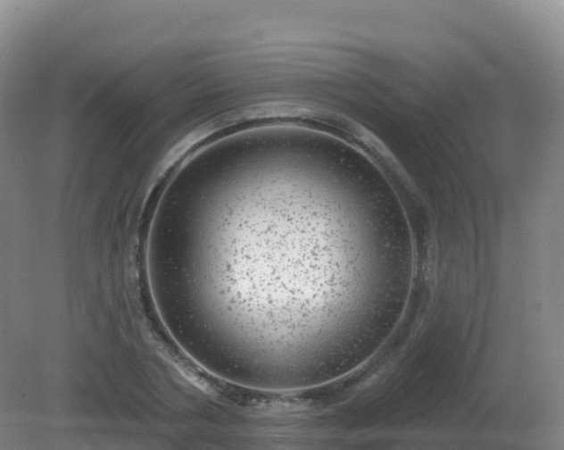 X0000081340786200701182019