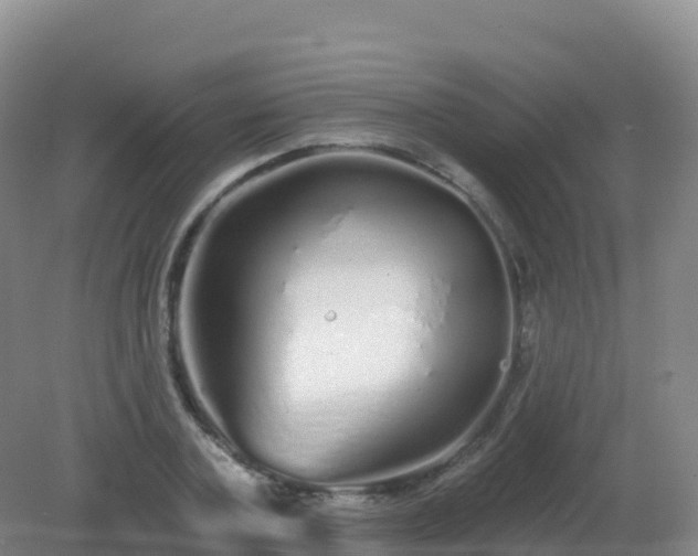 X0000081340787200701182019