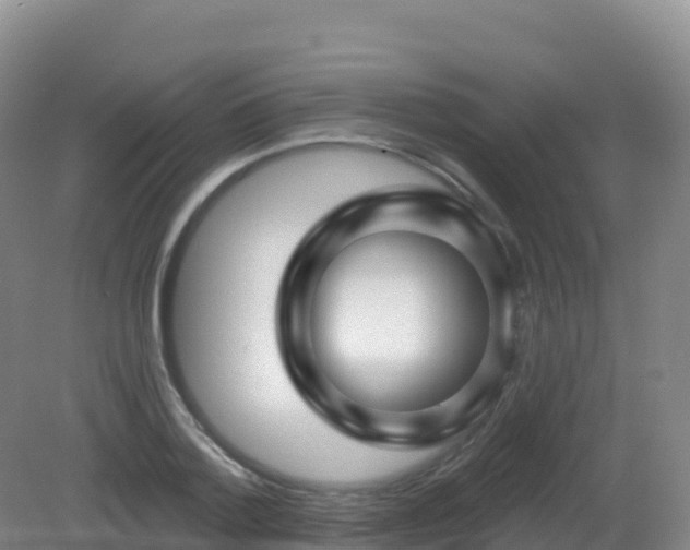 X0000081340788200701182019