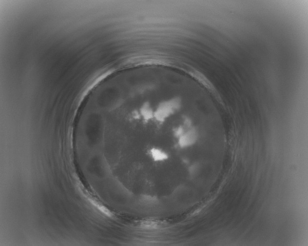 X0000081340790200701182019