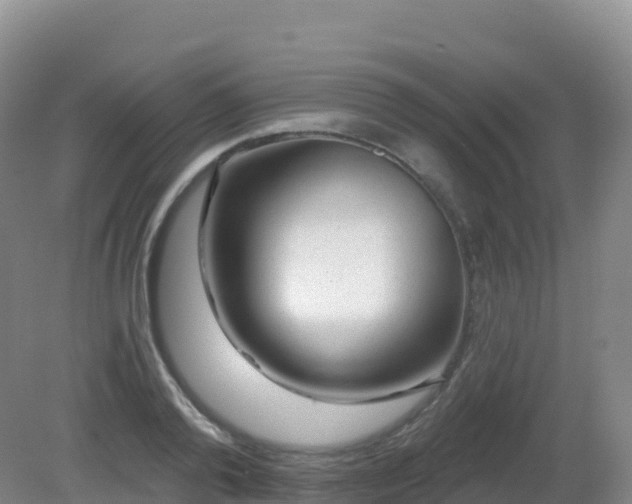 X0000081340792200701182019