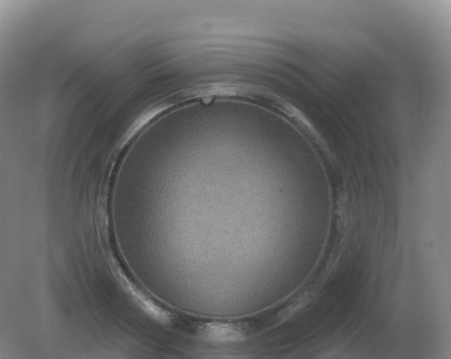 X0000081340794200701182019