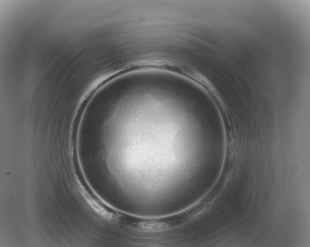 X0000081340795200701182019