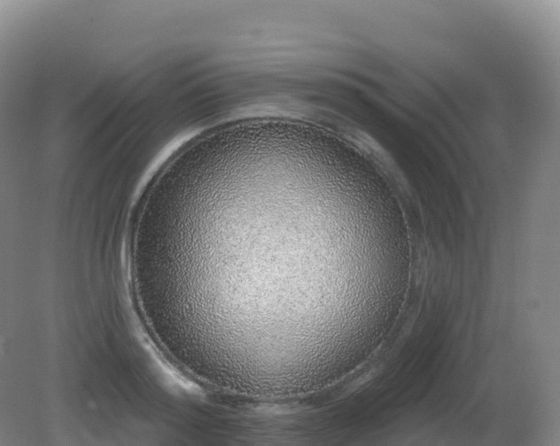 X0000081340796200701182019