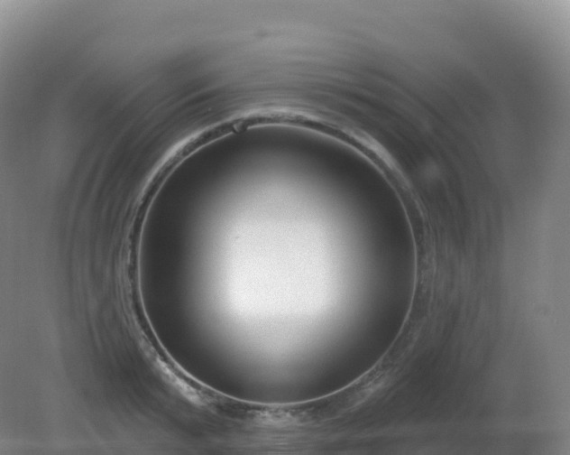 X0000081340799200701182019