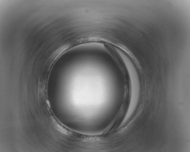 X0000081340801200701182019