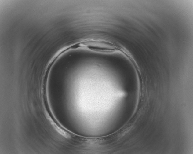 X0000081340803200701182019