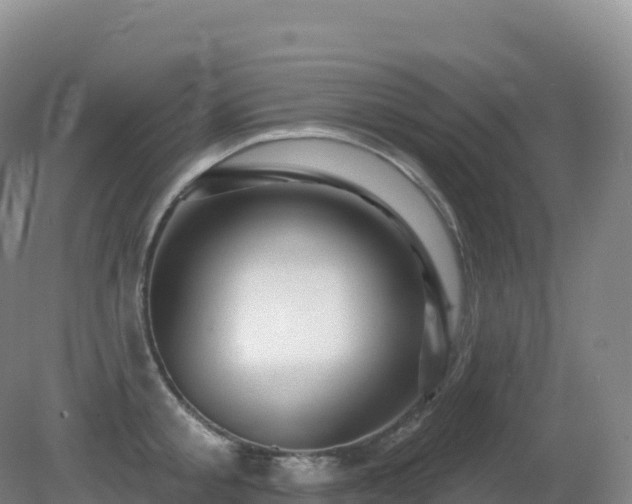 X0000081340805200701182019
