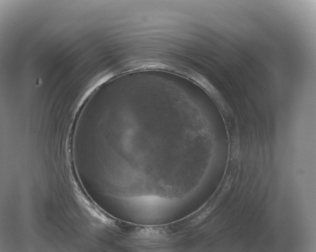 X0000081340806200701182019