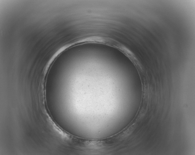 X0000081340808200701182019