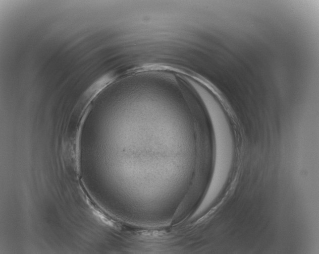 X0000081340809200701182019