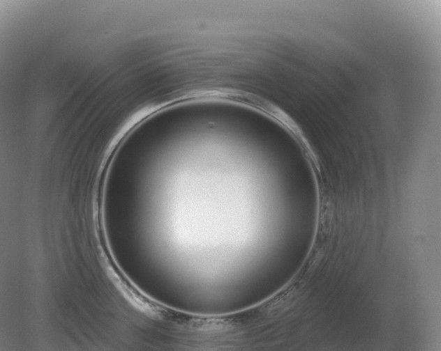 X0000081340811200701182019