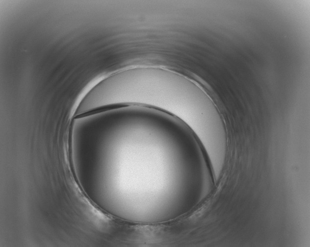 X0000081340812200701182019