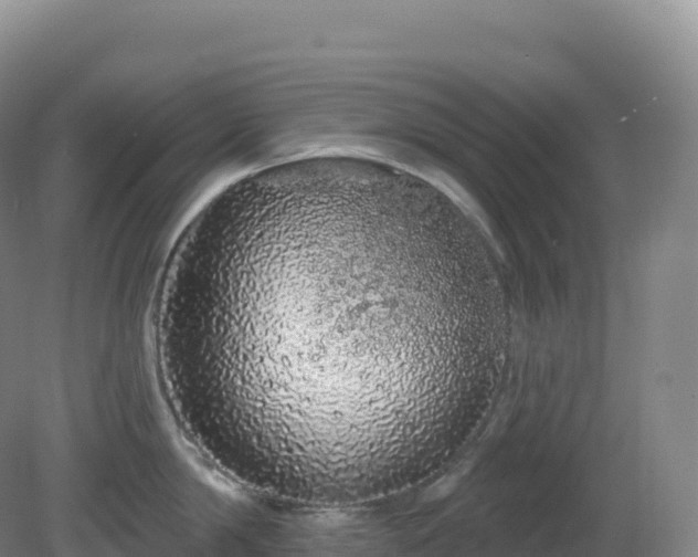 X0000081340814200701182019