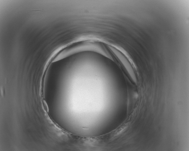 X0000081340815200701182019