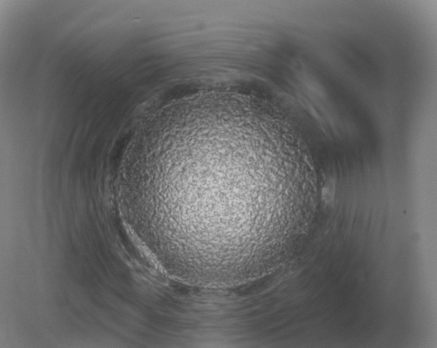 X0000081340819200701182018
