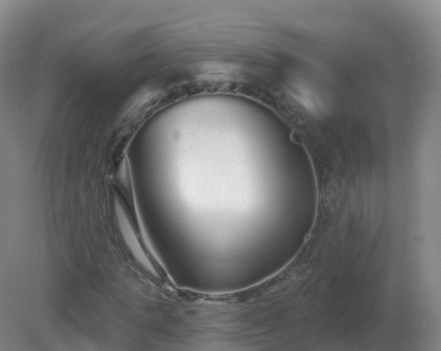 X0000081340821200701182018