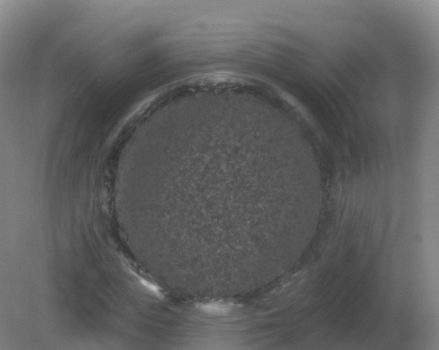 X0000081340823200701182018
