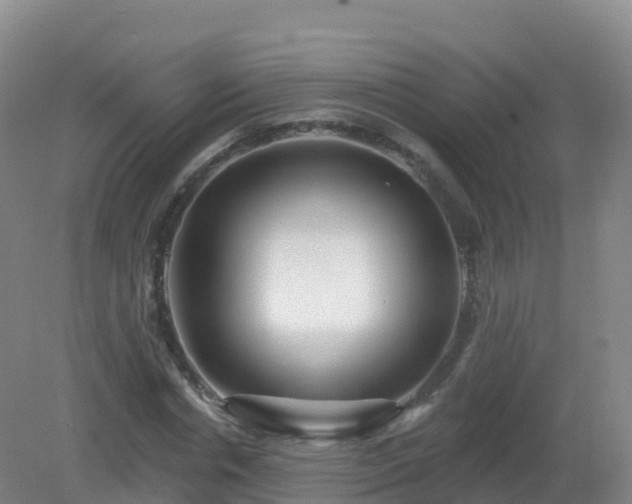X0000081340826200701182018