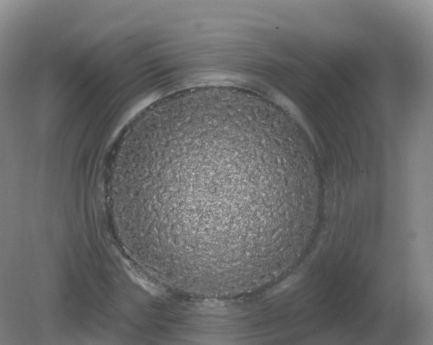 X0000081340827200701182018
