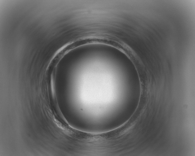 X0000081340830200701182018