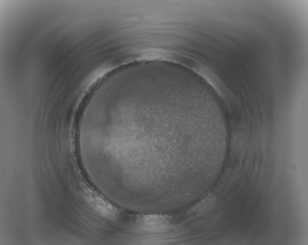 X0000081340832200701182018