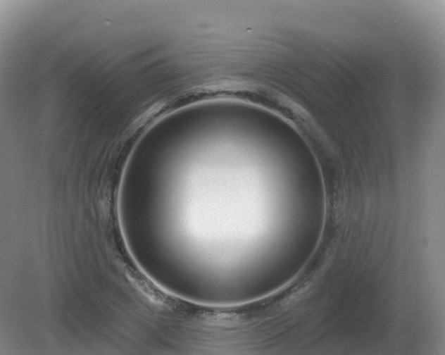 X0000081340833200701182018