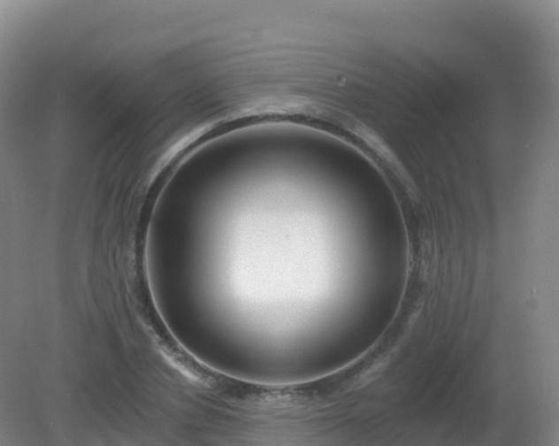 X0000081340834200701182018