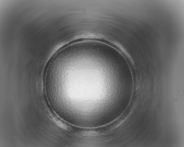 X0000081340837200701182018