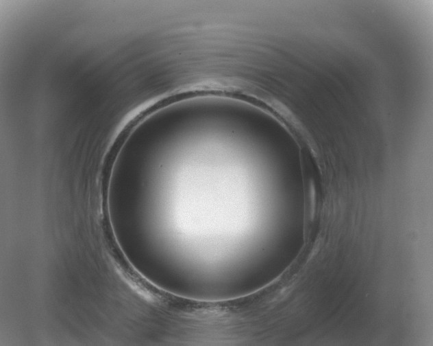 X0000081340838200701182018
