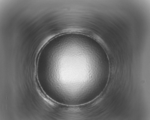X0000081340844200701182018