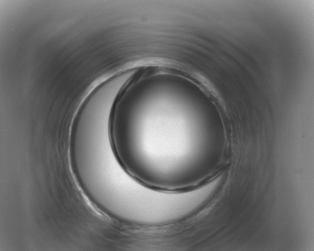 X0000081340845200701182018