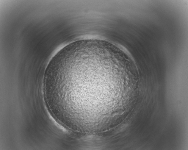 X0000081340847200701182018