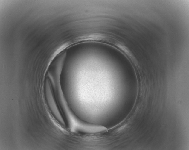 X0000081340850200701182019