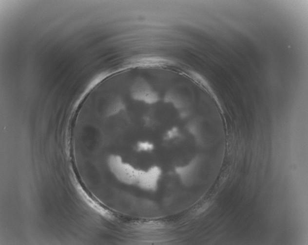 X0000081340851200701182019