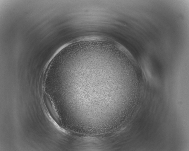 X0000081340852200701182019