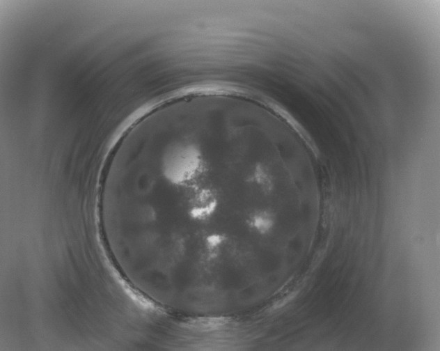 X0000081340853200701182019
