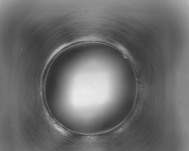 X0000081340854200701182019
