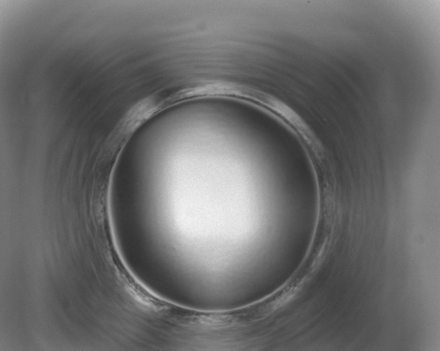 X0000081340857200701182019