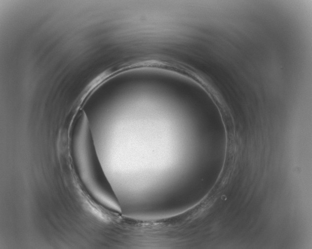 X0000081340858200701182019